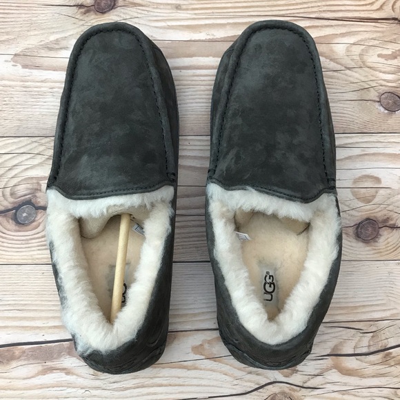 UGG Men’s Ascot Shearling Lined Suede Slipper - Picture 13 of 16